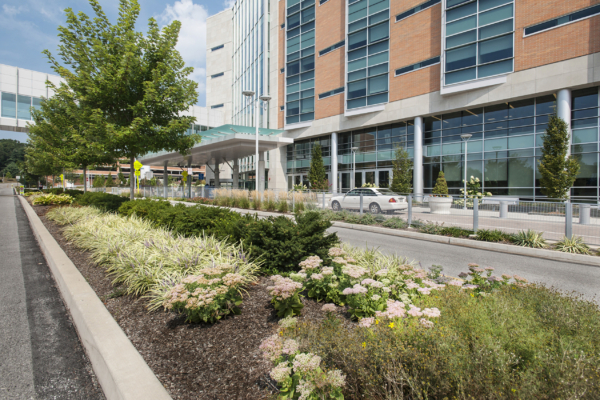 Lankenau Heart Group - Lankenau Medical Center Lankenau Medical Center Heart Pavilion - RGS Associates