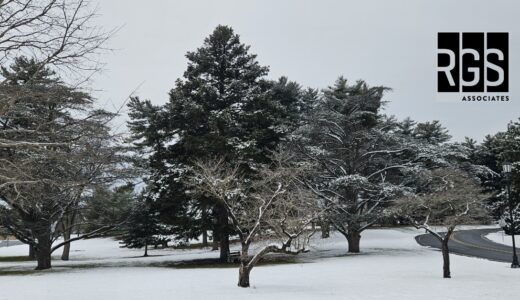 Designing for the Winter Season