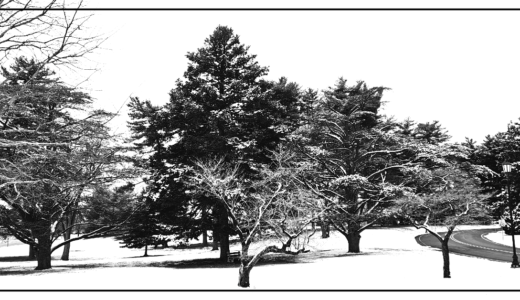 Designing for the Dormant Season at RGS Associates