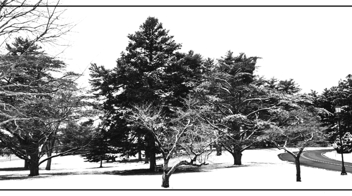 Designing for the Dormant Season at RGS Associates