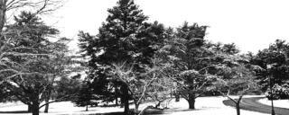 RGS Feature - Design and land planning for Winter Landscapes