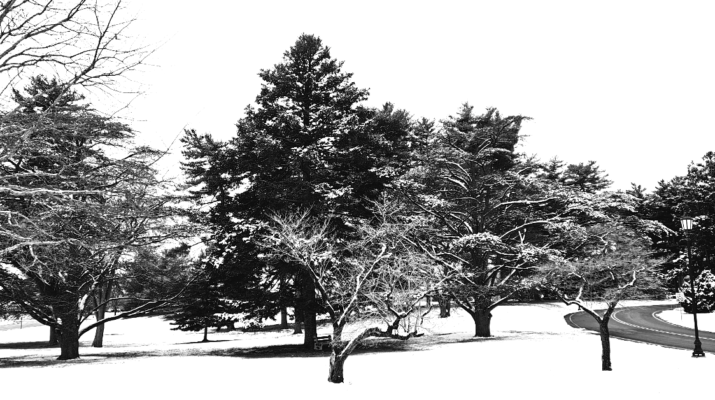 RGS Feature - Design and land planning for Winter Landscapes