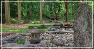 RGS and LASN - The Reserve at Maybrook Japanese garden