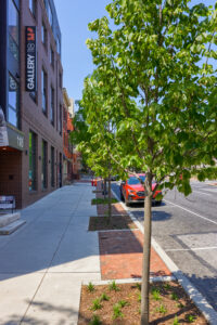 RGS Associates 118 North Prince Street entrance